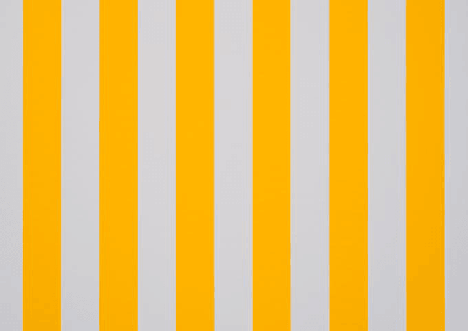 120 cm Orchestra Kumaş-Blanc Jaune