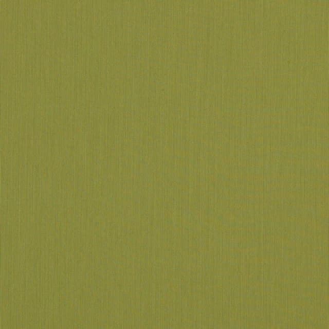 Sunbrella Solids Lichen 137 Cm Kumaş
